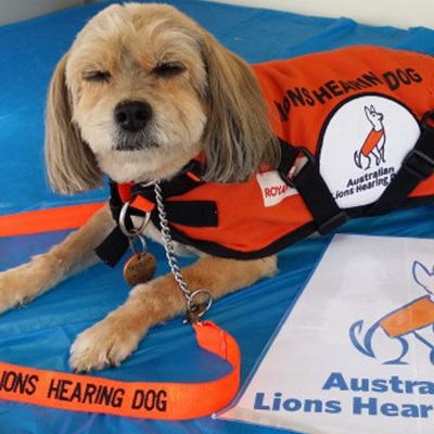 Lions Hearing Dogs