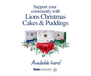 Lions Christmas Cakes & Puddings