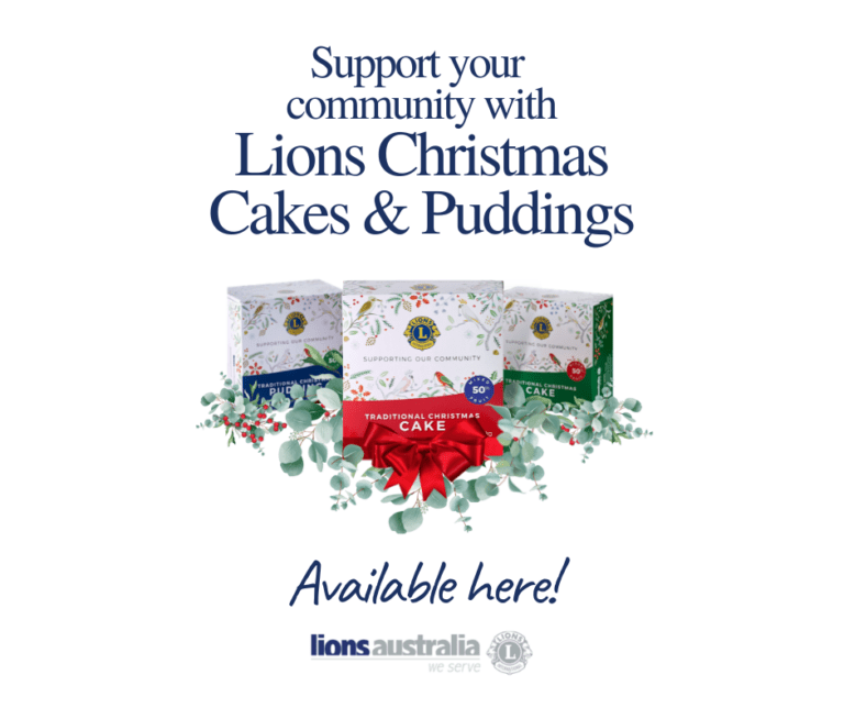 Lions Christmas Cakes